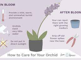 Maybe you would like to learn more about one of these? How To Care For Orchids