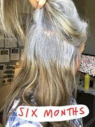 It's totally normal to start going gray in your 20s and 30s, just thank genetics. I Dyed My Hair Regularly For The Next Thirty Years That Meant A Seat In A Salon Every Four Weeks Grey Hair Wig Gray Hair Growing Out Transition To Gray Hair