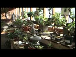 The baked bok choy is out of this world. Portland Nursery Bonsai