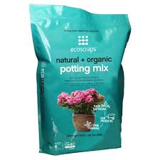 Fungus gnats are the worst, and last year had a big breakout of them! 6qt Potting Soil Ecoscraps Target