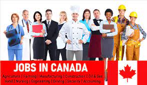 Financial advisor job order #: Exciting Jobs In Canada For Foreigners 1000 Vacancies 2021
