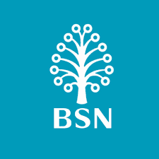 Nikmati kelulusan pantas dalam 10 minit. Bank Simpanan Nasional Bsn Pinjaman Peribadi Bank