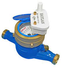 Lena micko, minister for public administration; Baylan Lora Alliance