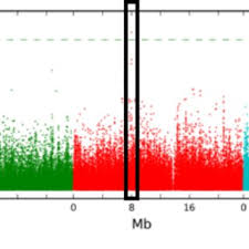 #stretching #contortionist #stretches #flexiblegirl #flexible #flexibility ☆official network channel☆ subscribe: Radka Slovak S Research Works University Of Oxford Oxford Ox And Other Places