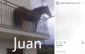 Juan carlos i er n 2, né le 5 janvier 1938 à rome, est un homme d'état espagnol, roi d'espagne de 1975 à 2014. Whose Horse Is That And Why Is It On A Balcony The Bizarre Story Of The Juan Meme Explained Know Your Meme