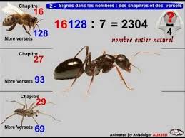 Le Coran Utilise Les Abeilles Les Fourmis Et L Araignee Pour Mettre Au Defi Ses Detracteurs Youtube Coran Recitation Du Coran Fourmis