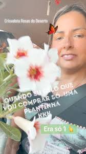 Garden Cris Valota, Rosas do deserto em Andradina