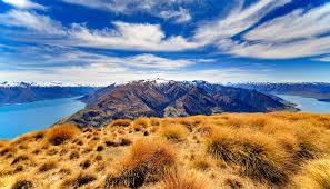 California insurance, live scan, income tax preparation, california dmv auto registration, notary public. South Island New Zealand Vs North Island New Zealand What S The Difference Days To Come