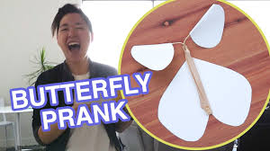 Flick your thumb off the card as it moves. Flying Butterfly Surprise Card Youtube