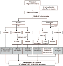 Flow Chart Of The Study Msm High Risk Population And Hiv