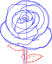 How To Draw A Simple Rose Step By Step Drawing Guide By Dawn Dragoart Com I will show you how to draw the rose in easy to follow steps. how to draw a simple rose step by step