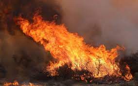 We did not find results for: Cordoba Enfrenta Uno De Los Incendios Mas Complicados Del Mundo