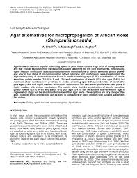 There are thousands of cultivars, which provide a palette of flower colors that. Pdf Agar Alternatives For Micropropagation Of African Violet Saintpaulia Ionantha