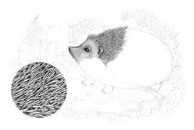 Pick the drawing you like best, enlarge on big paper. Drawing Natural Textures With Ink Liners