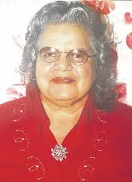 Shannon woman dies in yard accident at home