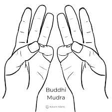 We did not find results for: Top 5 Meditation Hand Positions To Improve Your Practice Ambuja Yoga