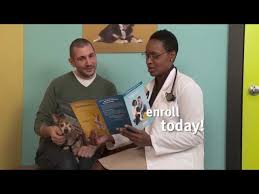 Banfield Dog Insurance Honest Review 2020 Review Herepup