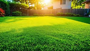 Ultimate Guide To Choosing A Professional Lawn Care Company - MLC Turf &  Landscape