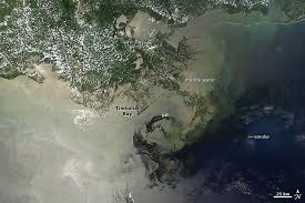 Highest rank 1 hour ago #7. Die Unbekannte Olkatastrophe Im Golf Von Mexiko Sonnenseite Okologische Kommunikation Mit Franz Alt
