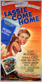 Lassie come home is a timeless classic. Pin On Movies And Movie Stars