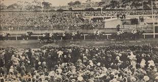 1933 Melbourne Cup Google Search Melbourne Cup Winners Melbourne Cup Melbourne Australia