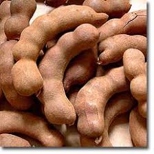 It is widely cultivated in tropical and subtropical regions for its edible fruit. Tamarind Tree The Permaculture Research Institute