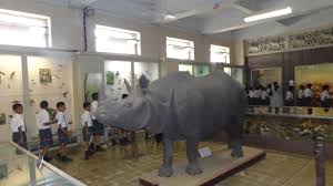 Nehru Science Centre Mumbai – A Centre ...