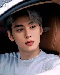 Cha Eun-woo official group