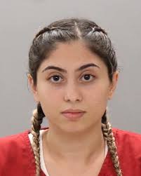 Name: NEESE RYAN D M W AGE: 45 Booking Date: 04/09/2025 Charges: BURGLARY  OF AN UNOCCUPIED CONVEYANCE Bond: $2500.00 📷 SOURCE: VOLUSIA COUNTY  CORRECTIONS Notice: “This content is released in the Public