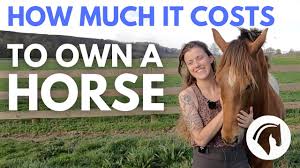 Younger horses cost more than older horses; How Much Does A Horse Cost Buy Board Training Insurance Daily Costs