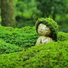 美しい京都で心も体もリラックス お寺で 写経体験 してみませんか キナリノ こけ庭 日本庭園 お金 画像