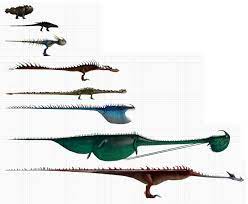 Dragon S Size How Train Your Dragon How To Train Your Dragon How To Train Dragon