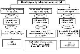 Check spelling or type a new query. Figure 1 From Screening And Diagnosis Of Cushing S Syndrome Semantic Scholar