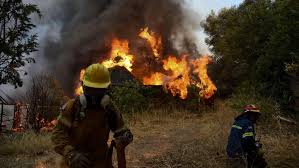 We did not find results for: Plus De 800 Departs De Feu Enregistres Dans Le Sud De L Italie
