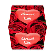 نور الهدى بن زيان Art Book Cover