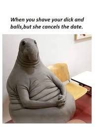 That way, the skin will be taut — as opposed to soft and shriveled — which makes for a much safer shave. When You Shave Your Dick And Balls But She Cancels The Date 9gag