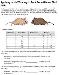 P^2+2pq+q^2 = 1 and p +q = 1 p = frequency of the dominant allele in the population q = frequency of the recessive allele in the. Hardy Weinberg And The Pocket Mouse
