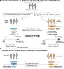 Maybe you would like to learn more about one of these? Researchers Demonstrate Real World Effectiveness Of Johnson Johnson Covid 19 Vaccine
