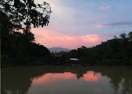 Eco friendly, sustainable organic farming. Hulu Langat Home Stay Eco Farm Campsite Mcc Outdoor