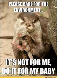 62 Recycling Quotes Ideas Recycling Quotes Recycling Quotes