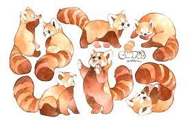 Check Out Most Heart Melting Animal Cute Red Panda Raise Their Claws To Surrender Cute Animal Drawings Animal Drawings Panda Art