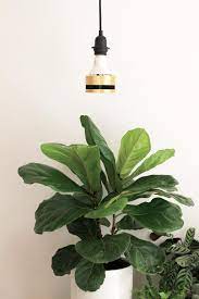 We did not find results for: How To Use Grow Lights For Indoor Plants Dossier Blog