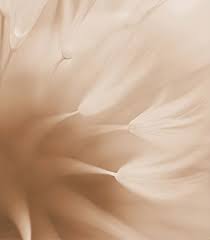 Hélène Stephan : avis de décès du 9 décembre 2023