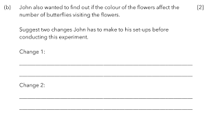 Printable pdf writing paper templates in multiple different line sizes. 2017 Henry Park Primary School Hpps P5 Sa2 Examination Paper Analysis