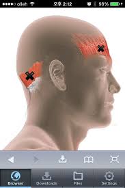 Watch trigger point movie online. Trigger Point Trigger Points Trigger Movie Posters