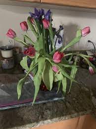 Send flowers and send a smile! 1 800 Flowers Dot Com Store 79 Reviews Florists 576 3rd Ave New York Ny Phone Number Yelp