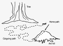 See more ideas about hanna barbera characters, coloring pages, hanna barbera. Ant Png Images Free Transparent Ant Download Kindpng