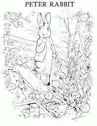 Strangers Pilgrims On Earth Gardening With Peter Rabbit Precious Playtime Rabbit Colors Peter Rabbit And Friends Colouring Pages