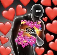 Pin By Linds On C A T C H A C A S E Love Memes Cute Love Memes Wholesome Memes