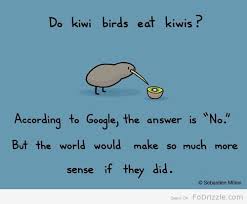 Kiwi Birds Animals Funny Fo Drizzle Funny Cartoons Kiwi Bird Funny Pictures